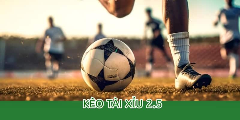 Cách đọc kèo Tài Xỉu 2.5 tại OK9 – Hướng dẫn chi tiết cho người mới 3 kèo tài xỉu 2.5